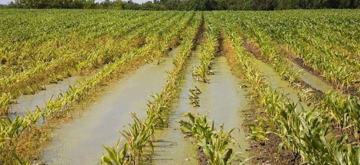 Visualizza la notizia: Domande per danni causati da calamità naturali a partire da fine novembre 2020 al 10 febbraio 2021