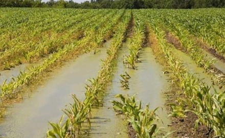 Visualizza la notizia: Domande per danni causati da calamità naturali a partire da fine novembre 2020 al 10 febbraio 2021 Visualizza la notizia: Domande per danni causati da calamità naturali a partire da fine novembre 2020 al 10 febbraio 2021