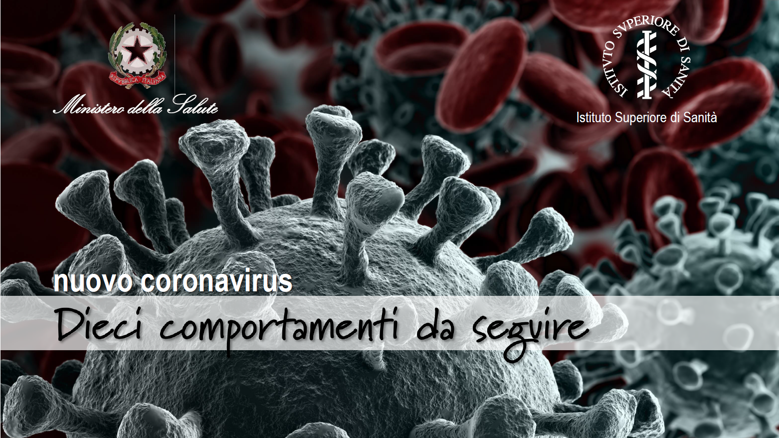 Visualizza la notizia: Nuovo Coronavirus