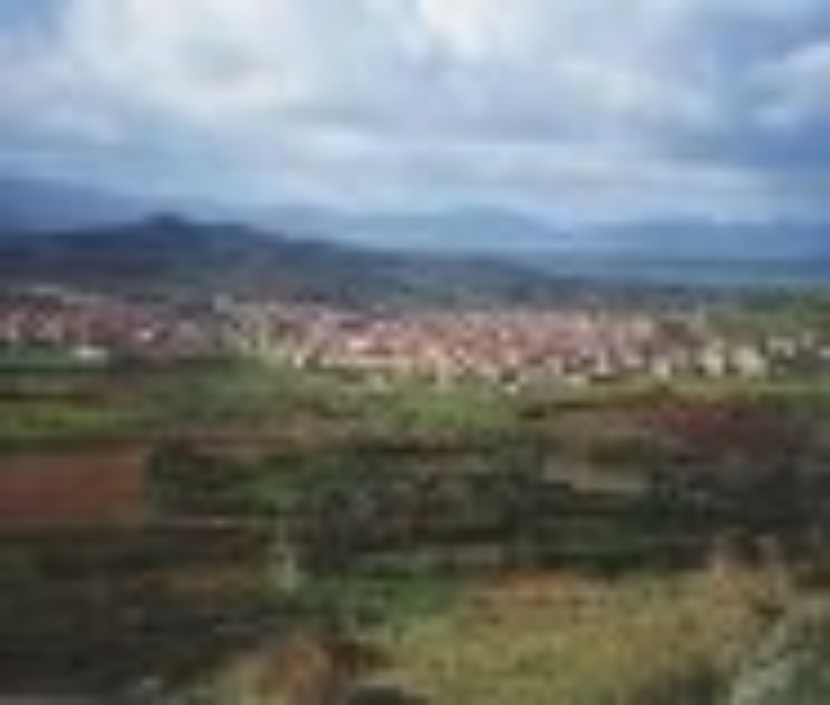 Bando di gara per affidamento lavori aree PIP "Terr'è Cresia"