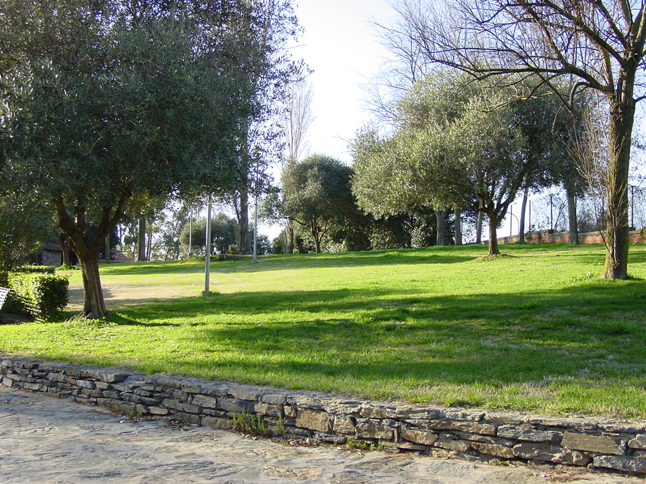 Visualizza la notizia: BANDO CONCESSIONE STRUTTURE E AREE PARCO COMUNALE VIA TIRSO 2021