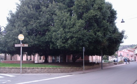 Visualizza la notizia: Petizione Popolare sulla rimodulazione del servizio di raccolta rifiuti Visualizza la notizia: Petizione Popolare sulla rimodulazione del servizio di raccolta rifiuti