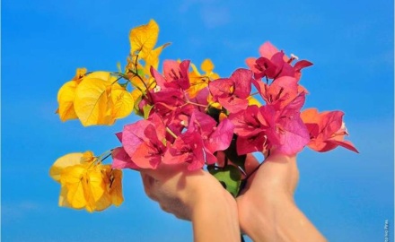 Visualizza la notizia: Progetto MANUS FRORIDAS Visualizza la notizia: Progetto MANUS FRORIDAS