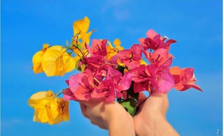 Visualizza la notizia: Affidamento in adozione di aiuole o verde pubblico di proprietà del Comune. SCADENZA 15.05.2015 Visualizza la notizia: Affidamento in adozione di aiuole o verde pubblico di proprietà del Comune. SCADENZA 15.05.2015