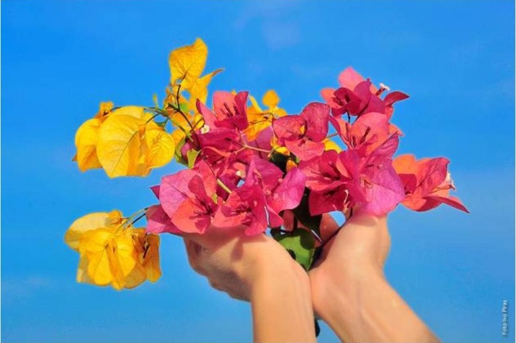 Progetto MANUS FRORIDAS