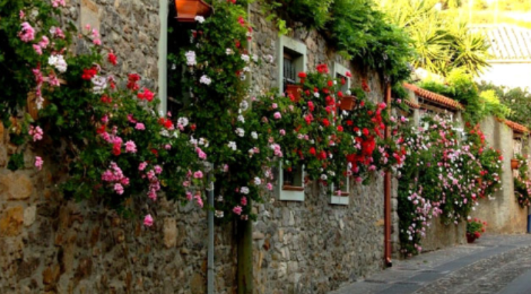 Calendario Rifiuti 2021